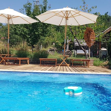 Къща За Гости Каза Роза - Swiss Style Chalet Casa Rosa Guest House Kyustendil Ngoại thất bức ảnh