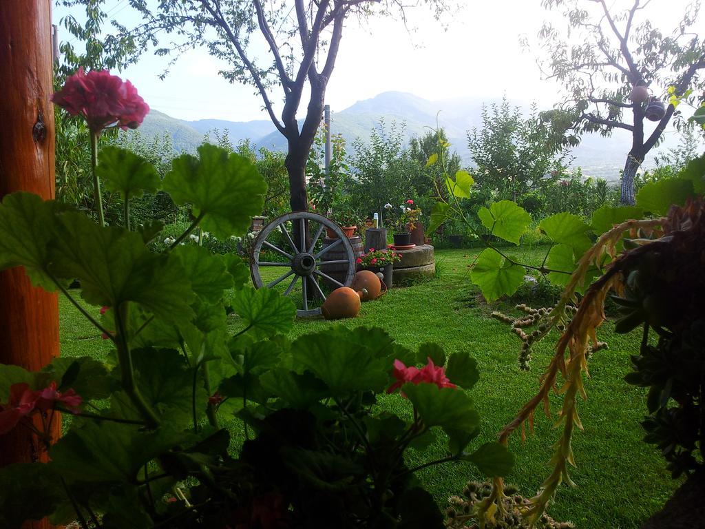 Къща За Гости Каза Роза - Swiss Style Chalet Casa Rosa Guest House Kyustendil Phòng bức ảnh