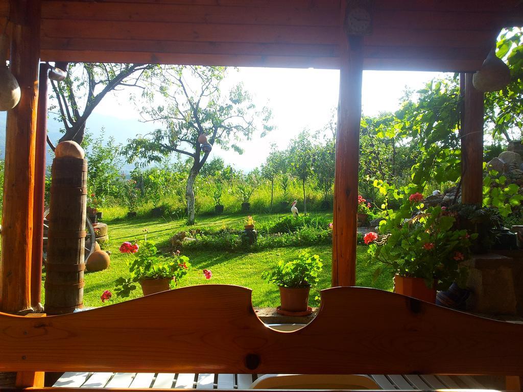 Къща За Гости Каза Роза - Swiss Style Chalet Casa Rosa Guest House Kyustendil Phòng bức ảnh